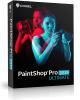 880192 PaintShop Pro 2019 ULTIMAT